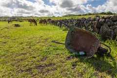 Osterinsel - entlang der Westküste