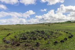 Osterinsel - entlang der Westküste