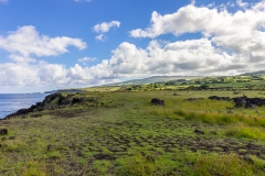 Osterinsel - entlang der Westküste