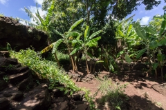 Osterinsel - Höhle Ana Te Pahu