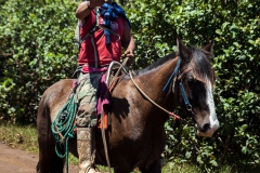 Osterinsel - entlang der Westküste