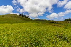 Osterinsel - entlang der Westküste