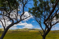Osterinsel - entlang der Westküste