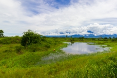 Ecuador - Tren de la Dulzura - die Andenausläufer kommen in Sichtweite
