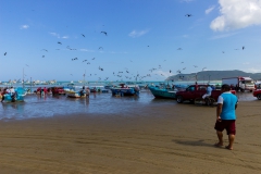 Puerto Lopez - der Fischmarkt unter freien Himmel