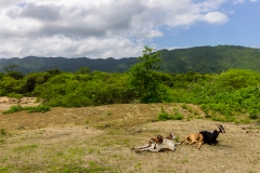 Agua Blanca - aber mit Abwechslung