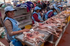 Riobamba - Meerschweinchen gefällig?