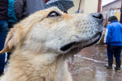 Salinas - am Plaza zum Beginn des Karnevals