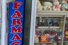 Ambato - Teddybären in der Apotheke