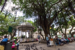Panama City