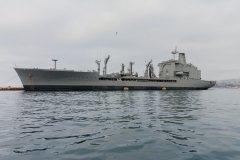 Die chilenische Marie ist hier auch vertreten.