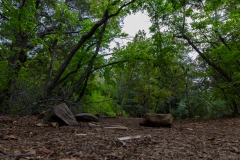 Der Park ist jetzt im Frühling...