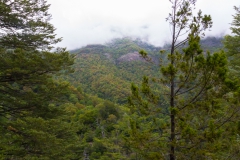 ... auch richtig grün und es riecht super.