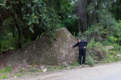 Persönlichen Hinkelstein gefunden.