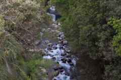 Der Rio Claro.