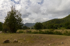 Es gibt auch einige Ebenen im Park.. teilweise auch mit Pferden.