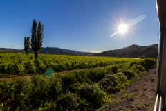 Es geht auch vorbei an Weingütern.