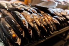 Frischer Fisch auf dem Fischmarkt Frischer Fisch auf dem Fischmarkt