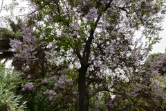 Oktober, es ist Frühling ;-) Oktober, es ist Frühling ;-)