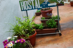 Der Eingangsbereich zum Hostel in Valdivia.