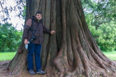 ... wirklich sehr dick.