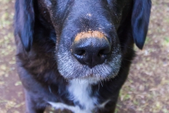 20161102-17-48-IMG_0691