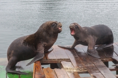 Und manchmal gibts auch Ärger.