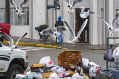 .... auch was zum Fressen.