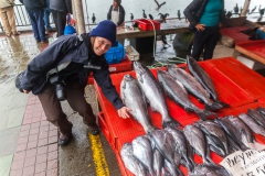Zum Größenvergleich ;-)