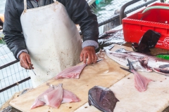 Dieser alte Herr hat Fische im Akkord ausgenommen und entschuppt.