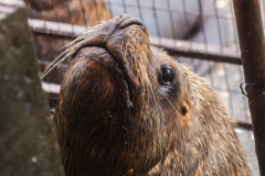 Dieser Kollege wartet auch Nachschub.