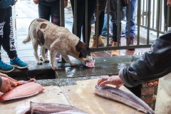 Der Hund bekommt nur die Reste.