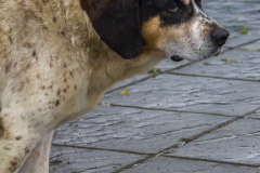 So richtig Glücklich war er damit nicht.