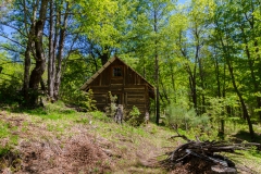 ... auf der Rancho ...