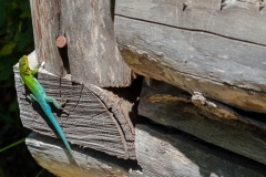 ... hatten wir auch ;-)