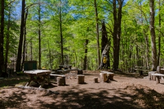 Der Lagerfeuerplatz.