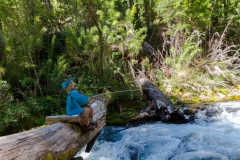 Hier kann man sich schon erschrecken.