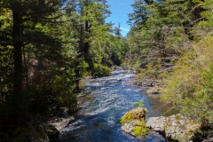 Und der Bach war sehr kühl.