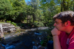 Dem Bach einfach ...