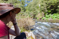 ... mal beim Rauschen zuhören.