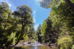 Von der konnte man auch ...