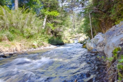 ... reinspringen können.