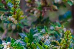 Der Frühling kommt auch hier an.