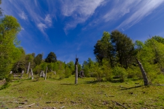 ... für die Pferde der Ranch.