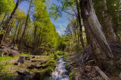 Ein kleinerer Zulauf.
