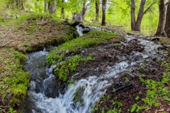 Der Abfluss der Lagune.