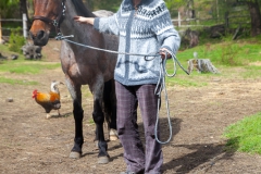 ... bis das Pferd mitkommt.