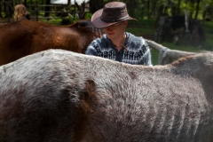 Erstmal die Pferde striegeln.
