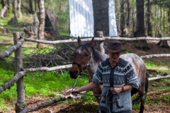 Und dann im Roundpen.