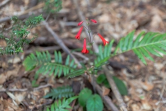 Auf dem zweiten Wanderweg.
